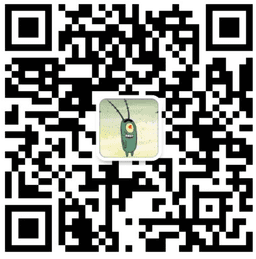 微信扫一扫关注“海之霸工坊”